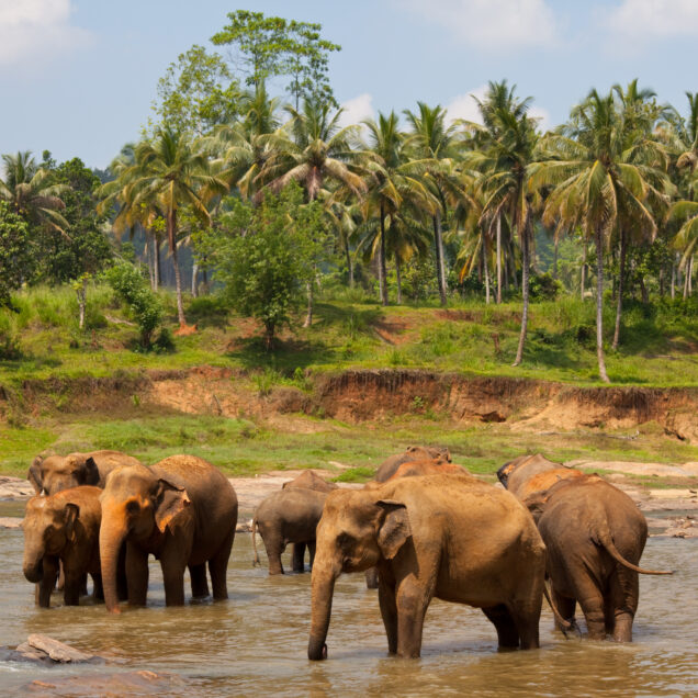 Srilanka