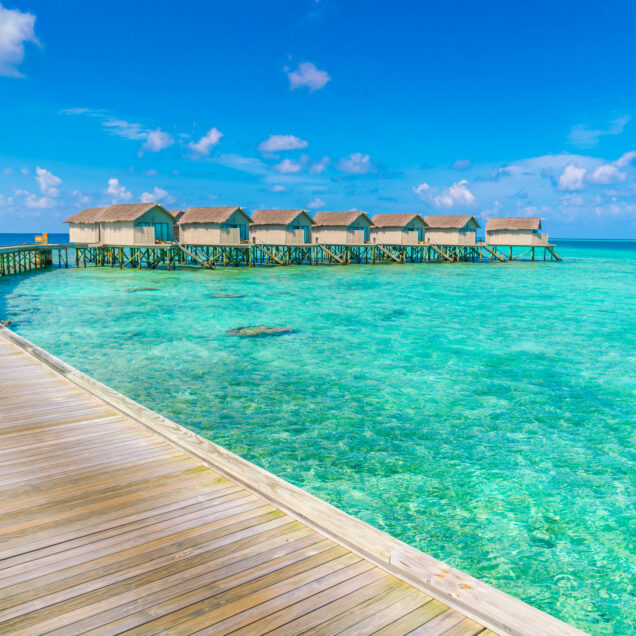Indian Ocean